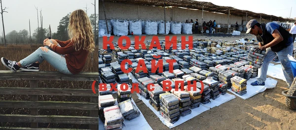 мяу мяу мука Рославль