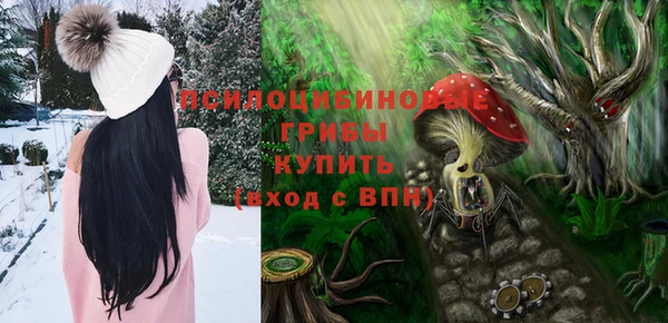 МДПВ Ростов