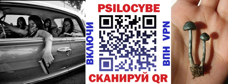 что такое   Великие Луки  Галлюциногенные грибы GOLDEN TEACHER 